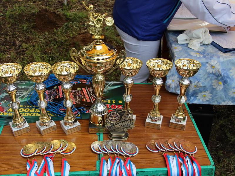 Чемпионат по мотокроссу