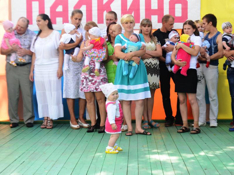 День освобождения Палкинского района и День Палкино