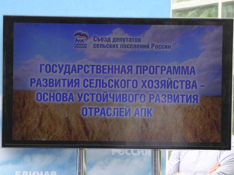 Выборы депутатов сельских поселений