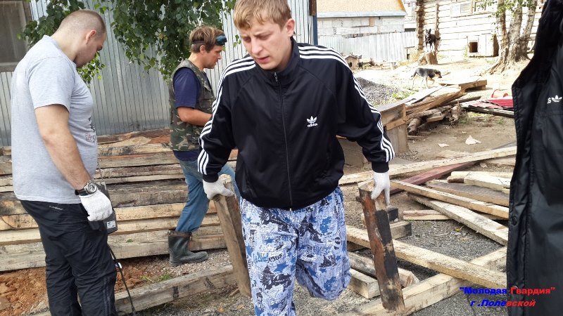 "Молодая гвардия" Полевского соорудила будки для бездомных животных