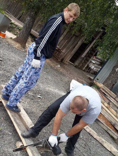 "Молодая гвардия" Полевского соорудила будки для бездомных животных
