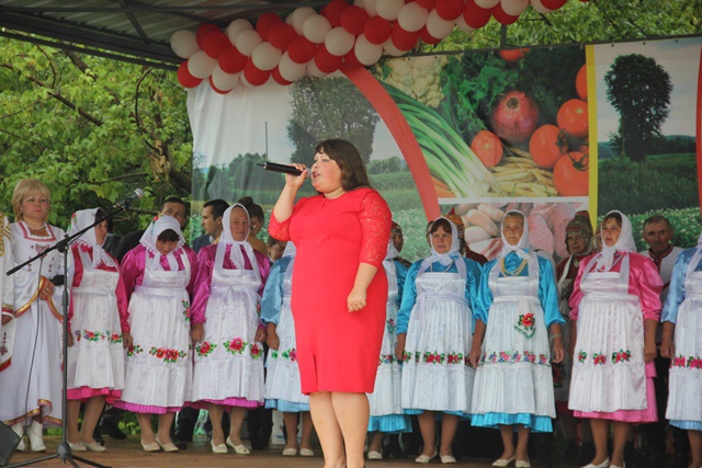 День Батыревского района 