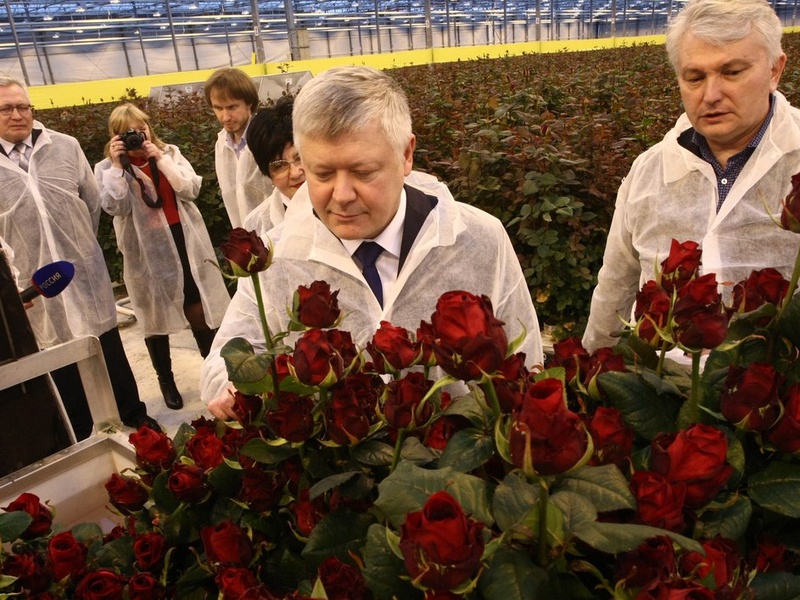 Региональная неделя депутата Госдумы РФ В.И.Пискарева