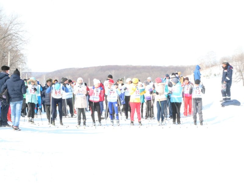 Местное отделение «Единой России» Стерлибашевского района наградило победителей лыжных гонок и конкурса профмастерства