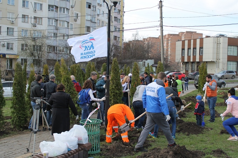 День древонасаждения 08.04.2017