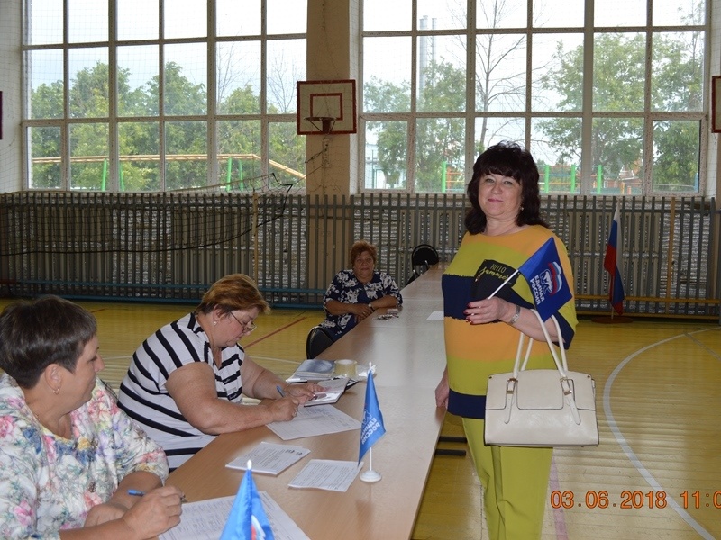 Михайловский район
