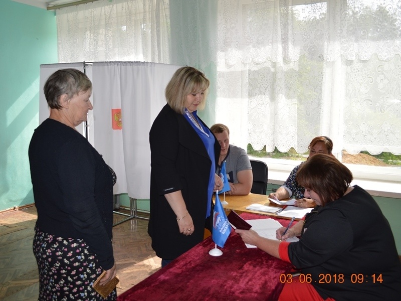Михайловский район