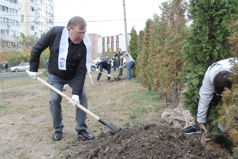 Осенний День древонасаждения