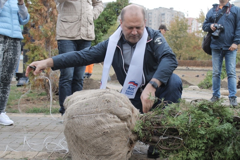Осенний День древонасаждения