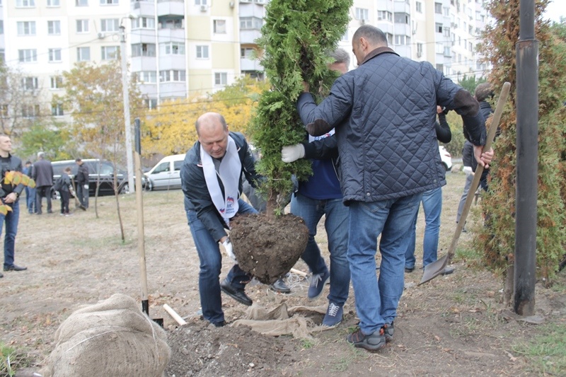 Осенний День древонасаждения