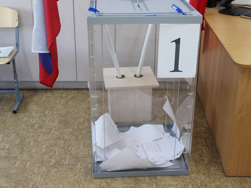 Предварительное голосование 26 мая 2019 года
