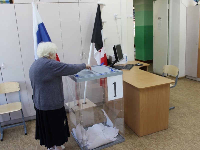 Предварительное голосование 26 мая 2019 года
