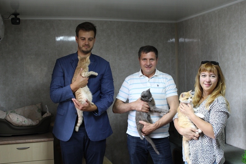 Кубанские сторонники партии «Единая Россия» посетили приют для бездомных животных