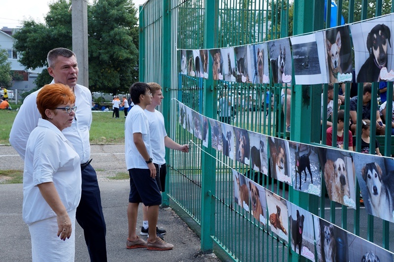 Кубанские сторонники партии «Единая Россия» посетили приют для бездомных животных