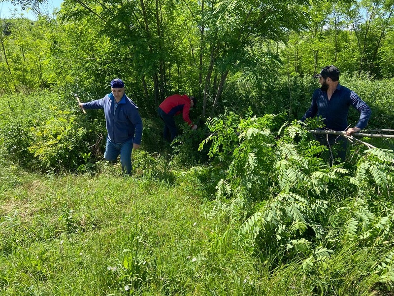 Работа волонтерского центра при региональной общественной приемной Председателя партии "Единая Россия" Д.А. Медведева