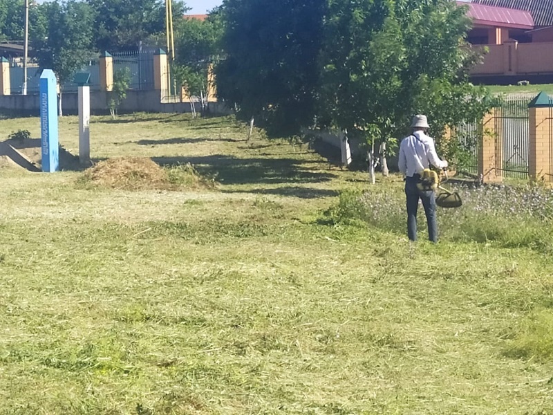 Работа волонтерского центра при региональной общественной приемной Председателя партии "Единая Россия" Д.А. Медведева